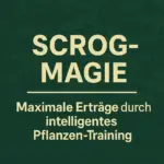 ScroG_Titel