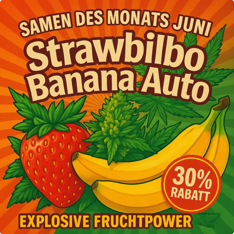 Strwabilbo Banana Auto Titel