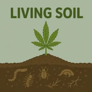 Living Soil