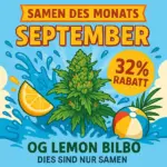 Samen_des_Monats_September