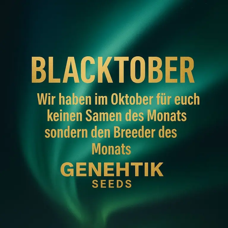Genehtik Seeds - Blacktober