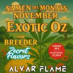 Samen des Monats November: Exotic OZ Auto von Zecret Flavorz 2 SamendesMonatsNovember_Exotic Oz