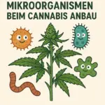 Mikroorganismen - Die unsichtbaren Helfer beim Cannabis Grow 1 Mikroorganismen