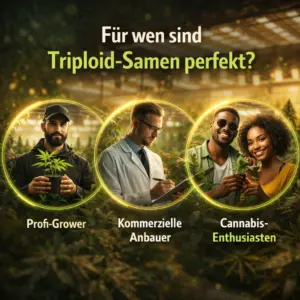 Für wen